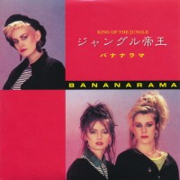 Purchase Bananarama - In A Bunch CD11