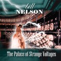 Buy Bill Nelson - The Palace Of Strange Voltages Mp3 Download