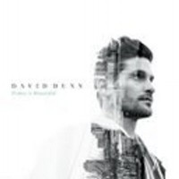 Purchase David Dunn - Have Everything (CDS)