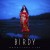 Buy Birdy - Beautiful Lies (Deluxe Edition) Mp3 Download