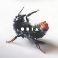 Buy Obia - Contretemps Mp3 Download