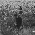 Buy Jesu & Sun Kil Moon - Jesu - Sun Kil Moon Mp3 Download