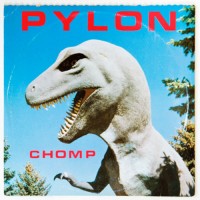 Purchase Pylon (US) - Chomp More