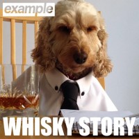 Purchase Example - Whisky Story (CDS)