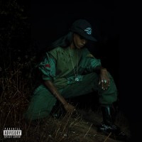 Purchase Angel Haze - Back To The Woods