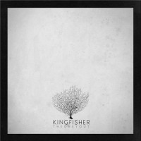 Purchase Kingfisher - The Greyout