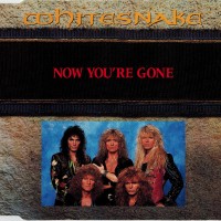 Purchase Whitesnake - Now You're Gone (MCD)