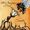 Buy The Annajames Band - Secrets Mp3 Download