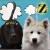 Purchase Z- Music For Pets MP3