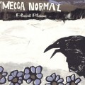 Buy Mecca Normal - Flood Plain Mp3 Download