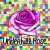 Purchase Underhill Rose- Underhill Rose MP3