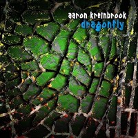 Purchase Aaron Kreinbrook - Dragonfly