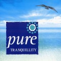 Buy Stephen Rhodes - Pure Tranquility Mp3 Download