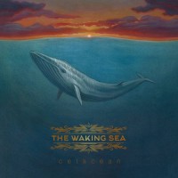 Purchase The Waking Sea - Cetacean