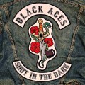 Buy Black Aces - Shot In The Dark Mp3 Download