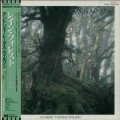 Buy Andrew Thomas Wilson - Carnarvon Rain Forest (Vinyl) Mp3 Download