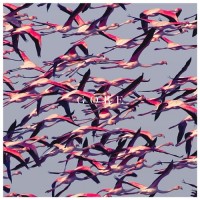 Purchase Deftones - Prayers Triangles (CDS)