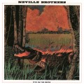 Buy The Neville Brothers - Fiyo On The Bayou Mp3 Download