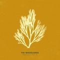 Buy The Woodlands - Parallels Vol. II Mp3 Download