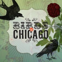 Purchase Birds Of Chicago - Birds Of Chicago