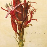 Purchase Andy Gordon - New Albion