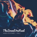 Buy VA - Thesoundyouneed Vol 2 (Unmixed Tracks) Mp3 Download