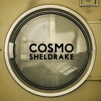Purchase Cosmo Sheldrake - The Moss (CDS)