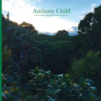 Purchase Anthony Child - Electronic Recordings From Maui Jungle Vol. 1