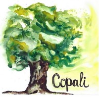 Purchase Copali - Copali