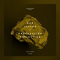 Purchase Dub Taylor - Propagation Reflection