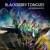 Buy Blackberry Tongues - We Are Open Mouths Mp3 Download