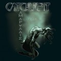 Buy Catchlight - Amaryllis Mp3 Download