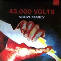 Purchase Ngozi Family - 45000 Volts (Vinyl)