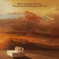 Purchase David Sancious - Transformation (The Speed Of Love) (Feat. Tone) (Vinyl)