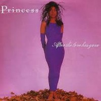 Purchase Princess - After The Love Has Gone (CDS)
