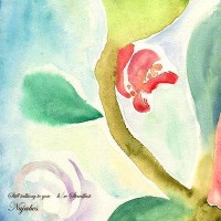 Purchase Nujabes - Still Talking To You & Steadfast (CDS)