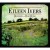 Buy Eileen Ivers - Beyond The Bog Road Mp3 Download
