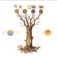 Purchase John Zorn - Transmigration Of The Magus