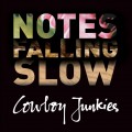 Buy Cowboy Junkies - Notes Falling Slow CD1 Mp3 Download