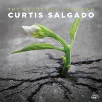 Purchase Curtis Salgado - The Beautiful Lowdown