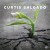 Buy Curtis Salgado - The Beautiful Lowdown Mp3 Download