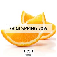 Purchase VA - Goa Spring 2016