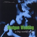 Buy Shotgun Wedding - A Big World Of Fun Mp3 Download