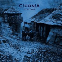 Purchase Ciconia - Winterize