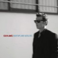 Buy Colin James - Rooftops And Satellites Mp3 Download