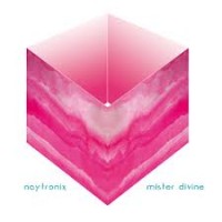 Purchase Naytronix - Mister Divine