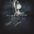 Buy Peter Murphy - Mr. Moonlight Tour: 35 Years Of Bauhaus Mp3 Download