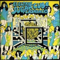 Purchase VA - Electric Sugarcube Flashbacks, Vol. 1 (Vinyl)
