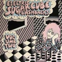 Purchase VA - Electric Sugarcube Flashbacks, Vol. 2 (Vinyl)