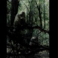 Buy Anamai - Sallows Mp3 Download